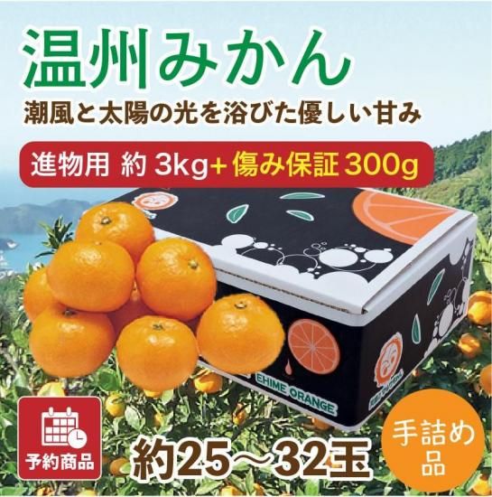 ͽʡ۲ߤڿʪѼͤʡ3kg 25~32 ݾդ300gӥ