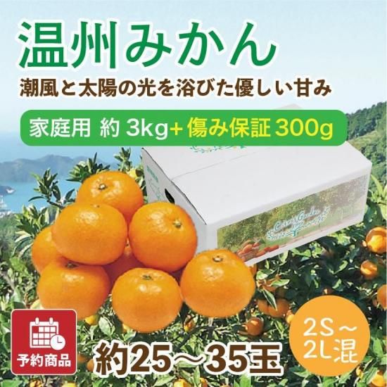 ͽʡ۲ߤڲ(2S~2L)3kg 25~35 ݾդ300gӥ