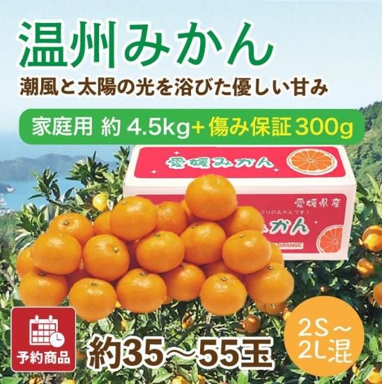 ͽʡ۲ߤڲ(2S~2L)4.5kg 35~55 ݾդ300gӥ