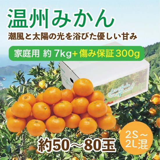 温州みかん【家庭用(こつぶっこ)】約3kg 約40~60玉 ※傷み保証付き300gサービス 旬の甘くておいしいみかんをお取り寄せ - マルワフルーツ園芸