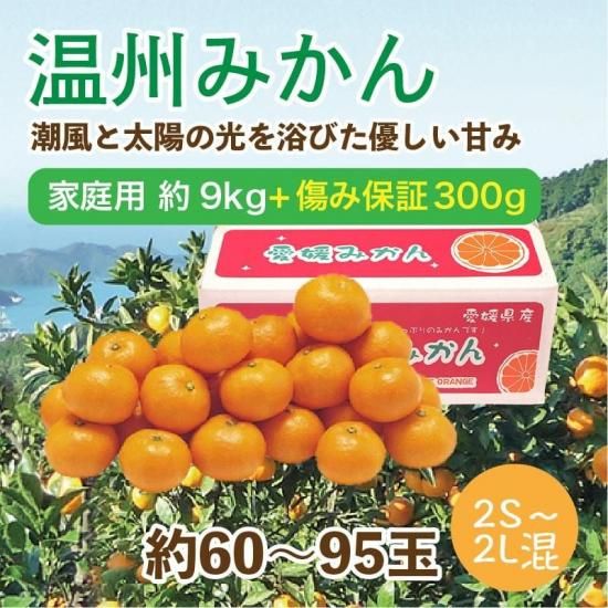 温州みかん【家庭用(こつぶっこ)】約7kg 約140~170玉 ※傷み保証付き