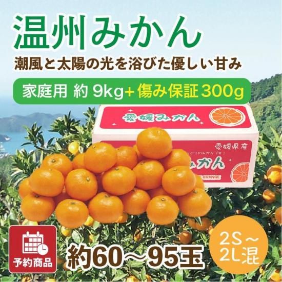 ͽʡ۲ߤڲ(2S~2L)9kg 60~95 ݾդ300gӥ