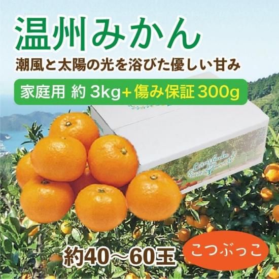 ߤڲ(Ĥ֤ä)3kg 40~60 ݾդ300gӥ