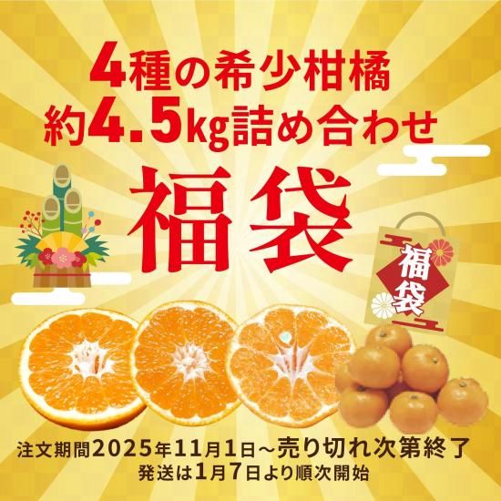 ¡ÚͽÌó¾¦Éʡ۴»µÌÊ¡ÂÞ¡À4¼ï¤Î´õ¾¯´»µÌÌó4.5Ԥεͤá¹ç¤ï¤»6,000±ßÁêÅö¤¬3,500±ß¡¿¡Ú¸ÂÄê140¥»¥Ã¥È¡Û