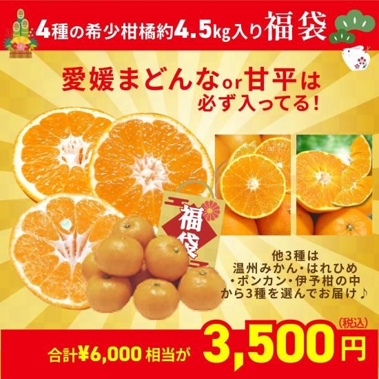 ͽʡ۴ʡޡ4δ4.5Ԥεͤ碌6,0003,500ߡڸ140åȡ