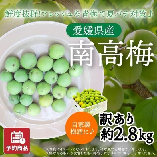 ͽʡ۰ɲ ߡ2.8kg