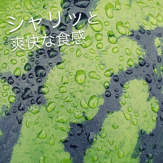 ͽʡۤ 1