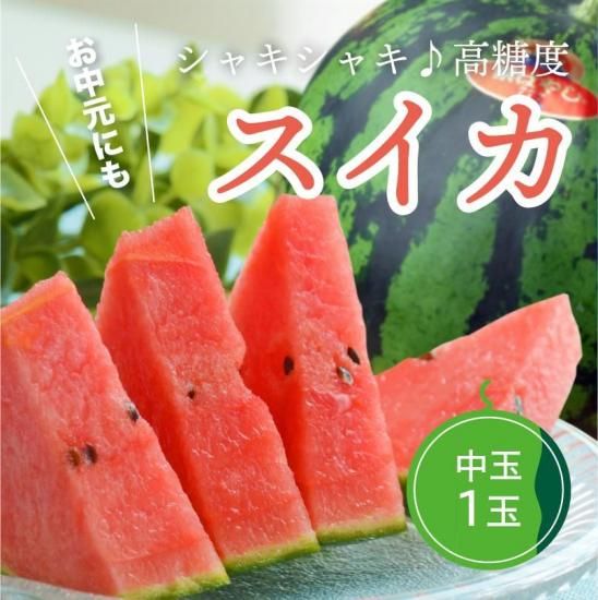 ͽʡۤ 1