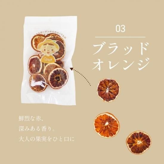 ɲޤɤ ʿ ֥åɥ Ȥ  ɥ饤ե롼 40g4 ȥ饹ǥ̵
