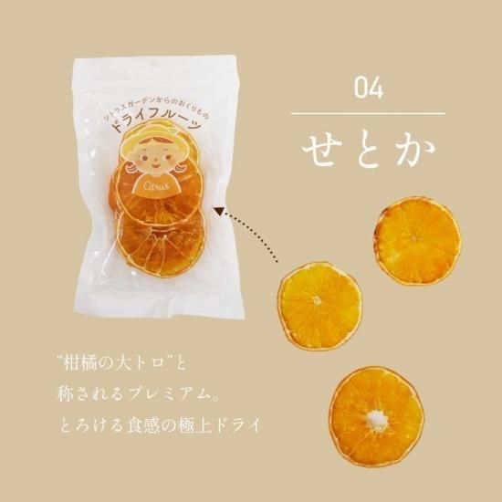 ɲޤɤ ʿ ֥åɥ Ȥ  ɥ饤ե롼 40g4 ȥ饹ǥ̵