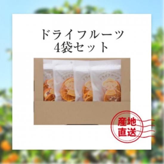 ɲޤɤ ʿ ֥åɥ Ȥ  ɥ饤ե롼 40g4 ȥ饹ǥ̵