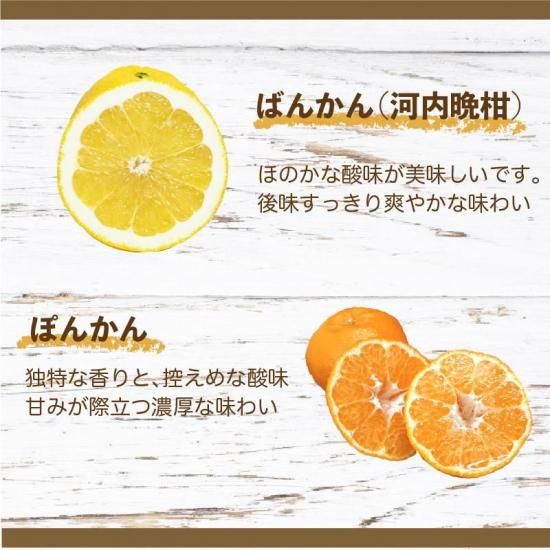 ͽʡۥȥ饹ǥॼ꡼ 8