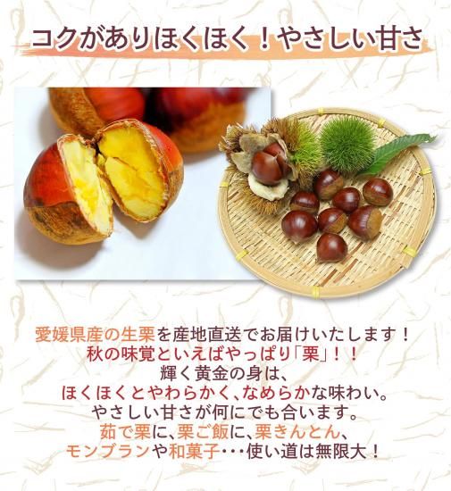 green leaf様　生栗　3キロ　クール便 green leaf様 生栗 3キロ クール便 【楽天市場】3L（栗