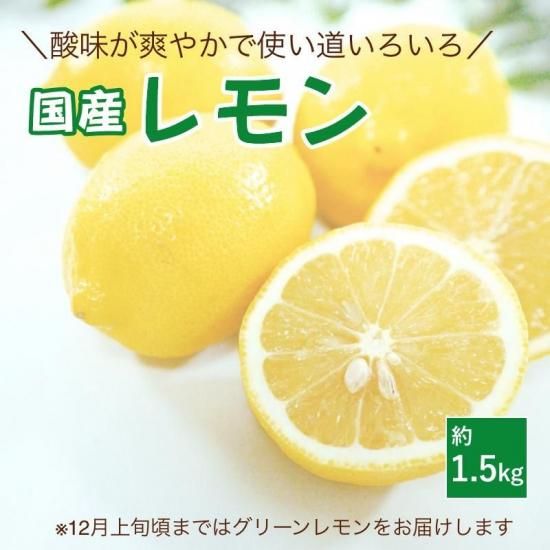 国産レモン お試し 約1.5kg