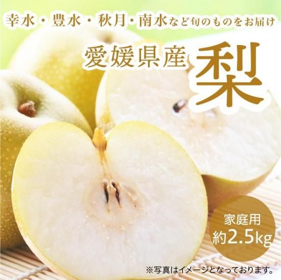 梨 約1.5㎏ 約3~6玉 家庭用 果汁たっぷりな梨をお取り寄せ