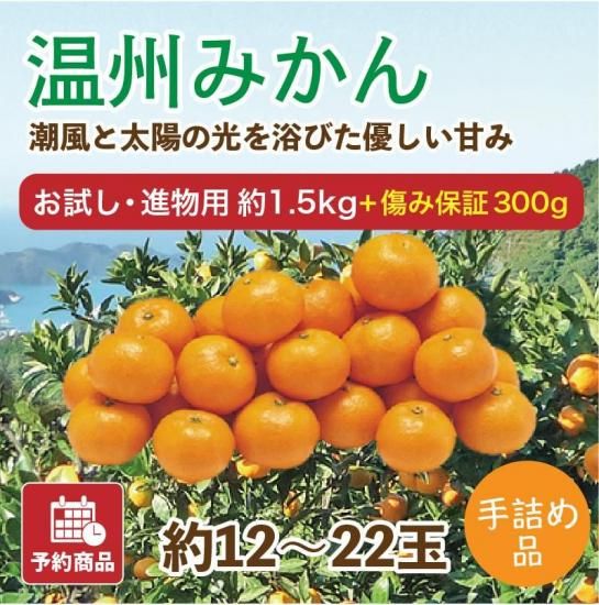 ͽʡ۲ߤڤʪѡ1.5kg 12~22̢ݾդ300gӥ 