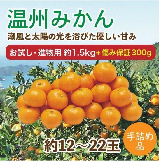 ߤڤʪѡ1.5kg 12~22̢ݾդ300gӥ 