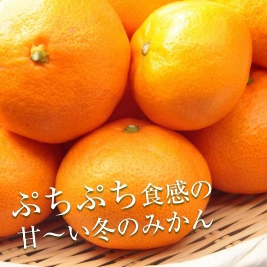 ͽʡ۲ߤڤʪѡ1.5kg 12~22̢ݾդ300gӥ 