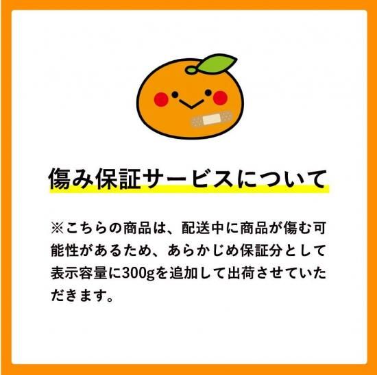 ͽʡ۲ߤڤʪѡ1.5kg 12~22̢ݾդ300gӥ 