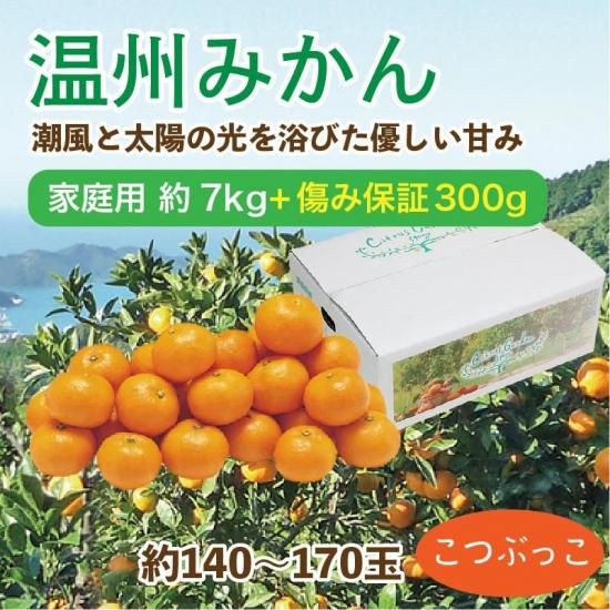 ߤڲ(Ĥ֤ä)7kg 140~170 ݾդ300gӥ