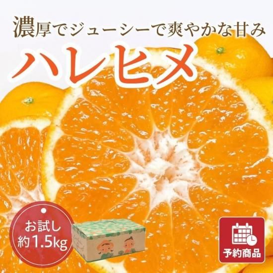 ͽʡۥϥҥڤ1.5kg 
