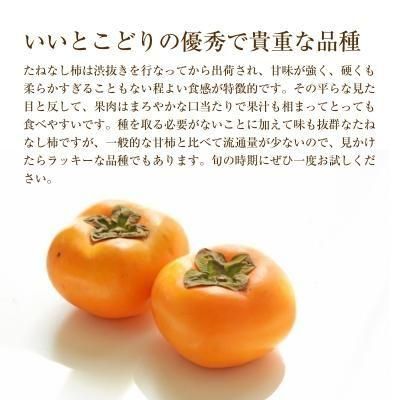 ڴָò 500g̡ۤͤʤڲ(硦)7.5kg