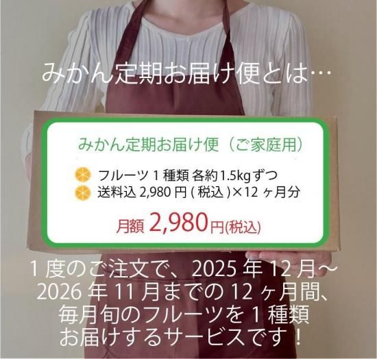 ͽʡۡ۽ܤΤߤ󡦥ե롼Ϥء12