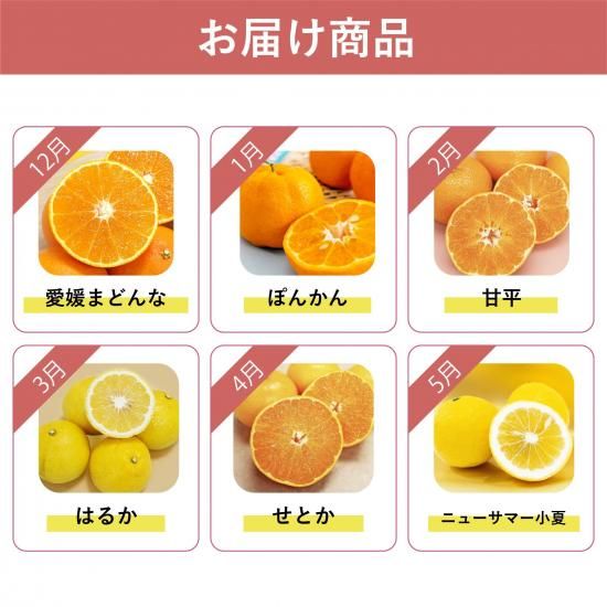 ͽʡۡ۽ܤΤߤ󡦥ե롼Ϥء12