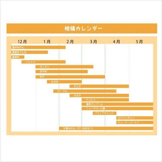 ͽʡۡ۽ܤΤߤ󡦥ե롼Ϥء12