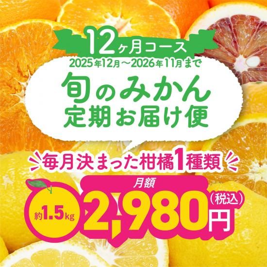 ͽʡۡ۽ܤΤߤ󡦥ե롼Ϥء12