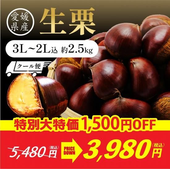 ڿ̸ò(դ) 3L~2L 2.5kg ()