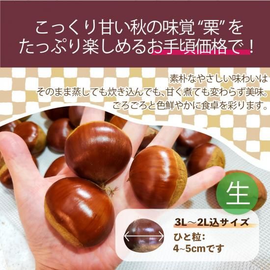 ڿ̸ò(դ) 3L~2L 2.5kg ()