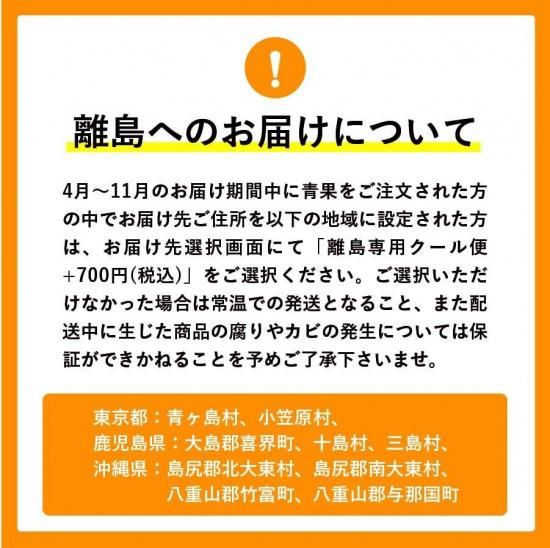 【予約商品】会員様限定価格 【愛媛八幡浜特産】 富士柿 訳あり 約10kg 約30~40玉 (11月下旬頃出荷予定)