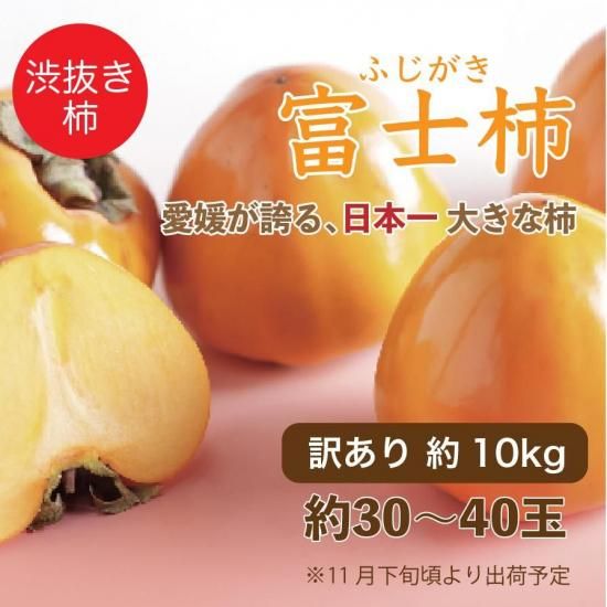 ͸ ڰɲȬȨû ٻγ  10kg 30~40 (11ܺвͽ)