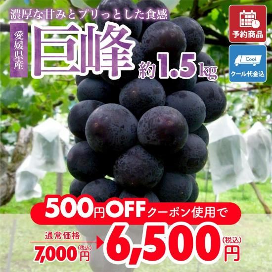 ͽʡۡڥݥѤ500߰ϸû֤ɤ 1.5kg ʥ