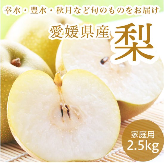 【予約商品】梨 2.5 � 約6~9玉