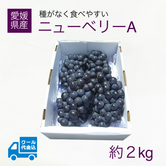 ϸû֤ɤ ˥塼٥꡼A 2kg ʥ