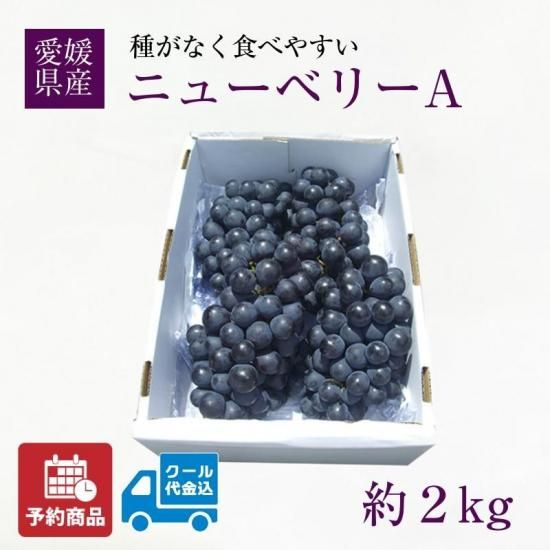 ͽʡϸû֤ɤ ˥塼٥꡼A 2kg ʥ