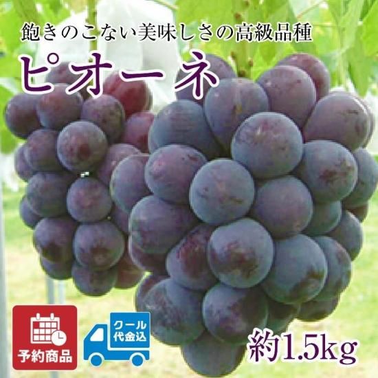 ͽʡۡڥݥѤ500߰ϸû֤ɤ ԥ͡1.5kg ʥ