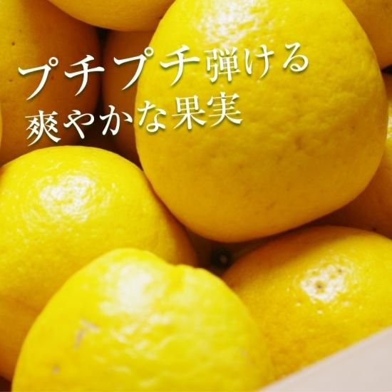 塼ɡʲմˡڿʪѡ2.5kg