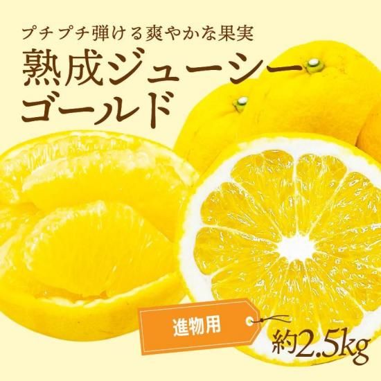 塼ɡʲմˡڿʪѡ2.5kg