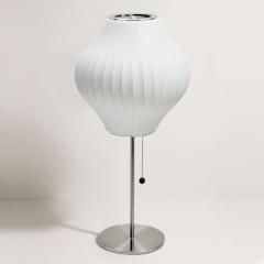 硼ͥ륽/BubbleLampХ֥ץơ֥סڥڥS