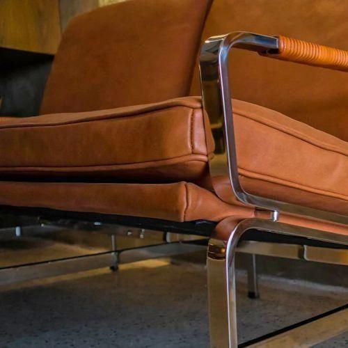 ץ٥󡦥ե֥ꥷ㥹륲󡦥ȥۥ/FK6720ȥץ륽եڥ쥶쥯ۤ¾-ǥʡȶN PLUS