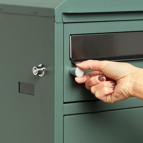 ǥʡ/ۥܥåեݥZita2顼ۤ¾-ǥʡȶN PLUS