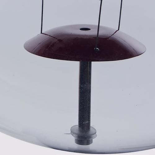 ʡѥȥ/Globe֥ڥȥק40cmץȤ¾-ǥʡȶN PLUS