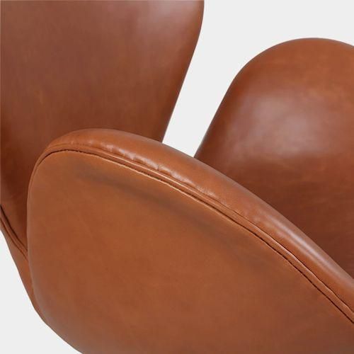 ͡䥳֥/SwanChairڥB쥶ۤ¾-ǥʡȶN PLUS