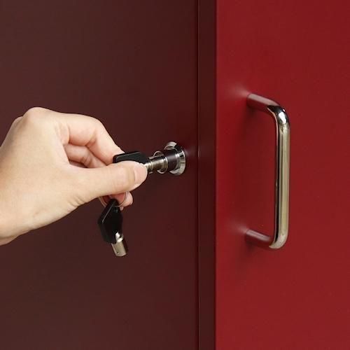 ǥʡ/ۥܥåAlora2顼ۤ¾-ǥʡȶN PLUS