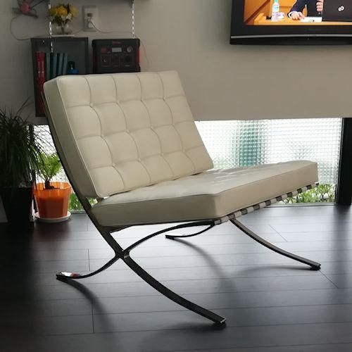 ߡե󡦥ǥ롦/Х륻ʥץߥڥե륢˥쥶ۥᥤ-ǥʡȶN PLUS