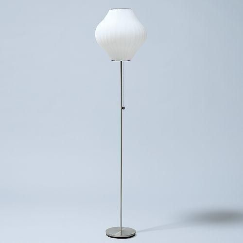 硼ͥ륽/BubbleLampХ֥ץեסڥڥSۥᥤ-ǥʡȶN PLUS