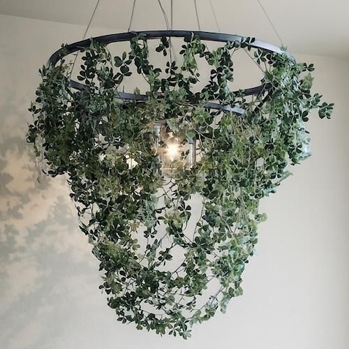 DI CLASSEǥå/ȥ꡼ڥȥץե쥹ƥǡ750mmۥᥤ-ǥʡȶN PLUS